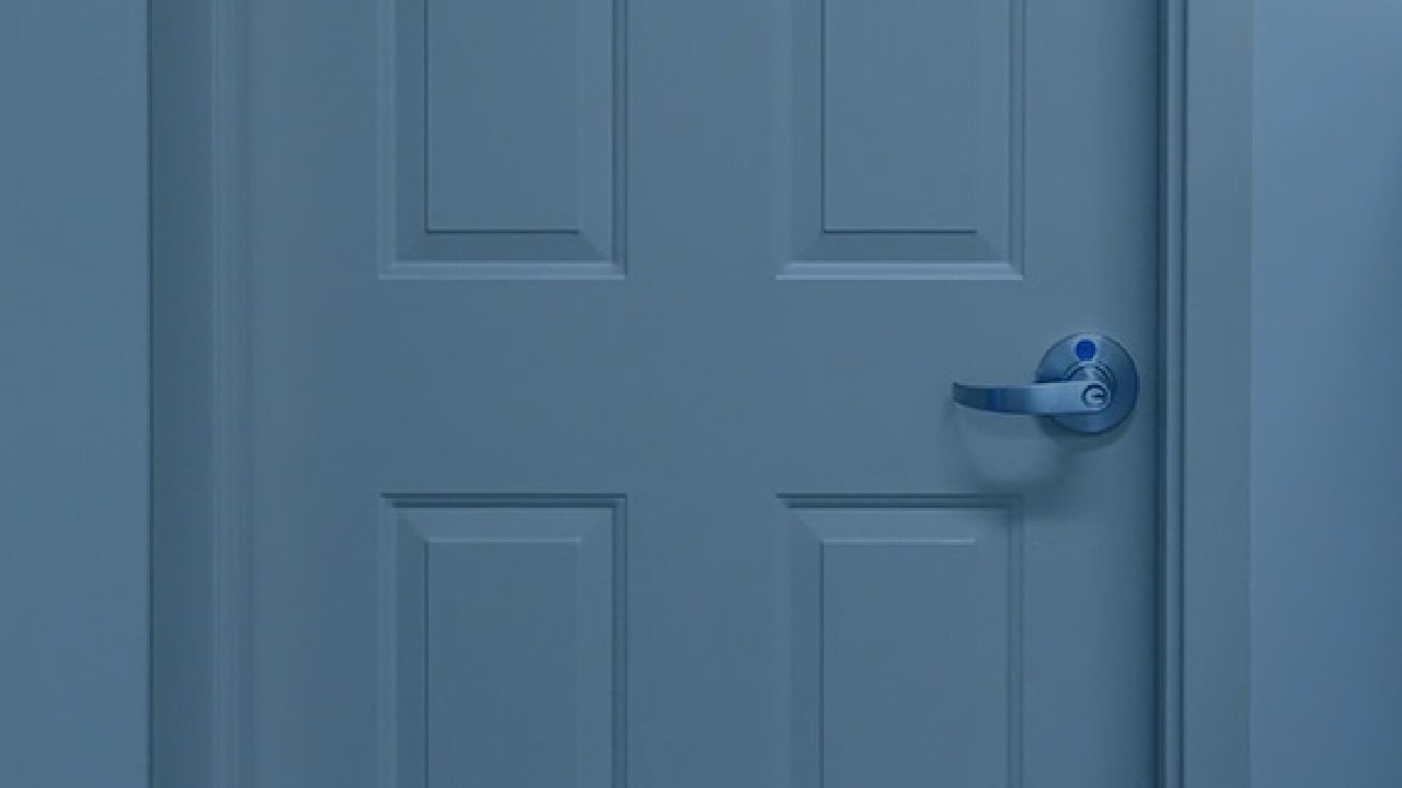 Commercial Embossed Panel Doors Steelcraft CE Series